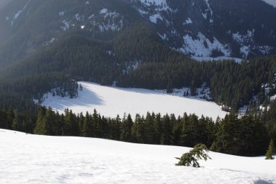 _MG_7929.JPG