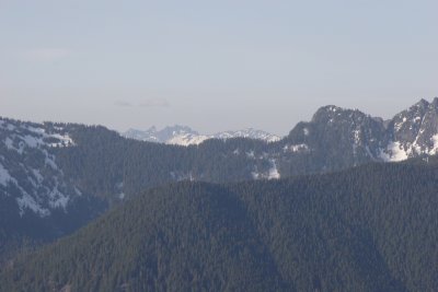 _MG_7959.JPG