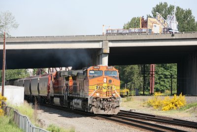 IMG_9048.JPG