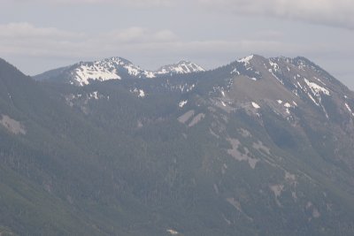 _MG_8194.JPG