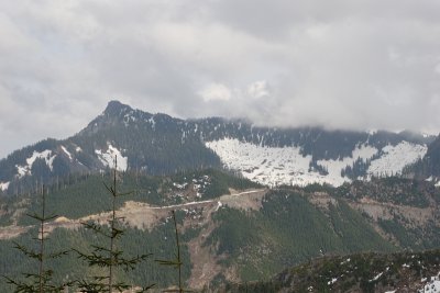 _MG_8207.JPG
