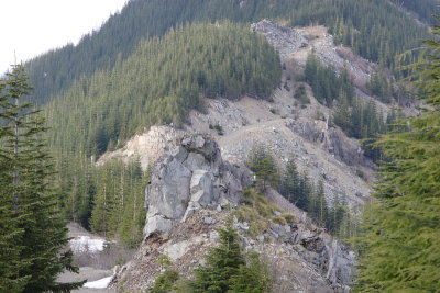 _MG_8223.JPG