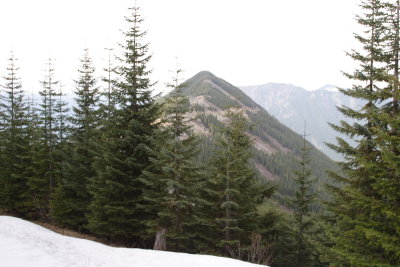 _MG_8226.JPG