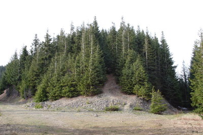 _MG_8231.JPG