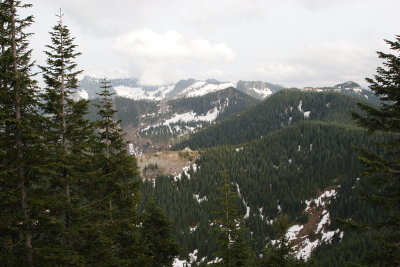 _MG_8239.JPG