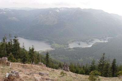 _MG_8243.JPG