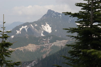 _MG_8253.JPG