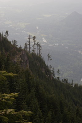 _MG_8268.JPG