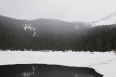 _MG_7378.JPG