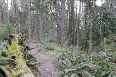 _MG_5660.JPG