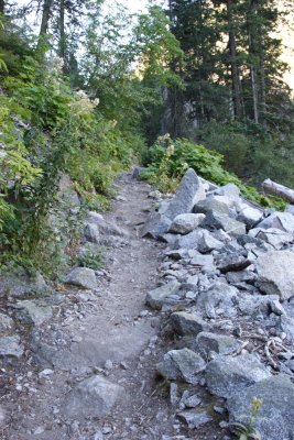 IMG_5000.JPG