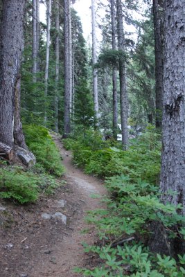 IMG_5005.JPG