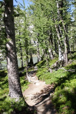 IMG_5206.JPG