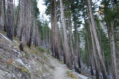 IMG_4879.JPG