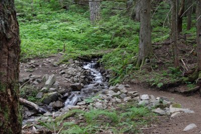 Pratt Mt. 6-27-07