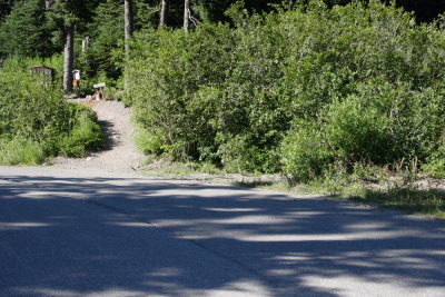 _MG_2228.JPG
