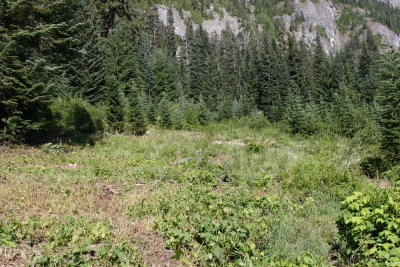 _MG_2229.JPG