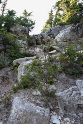_MG_2248.JPG