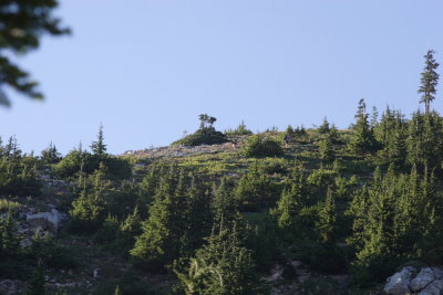 _MG_2250.JPG