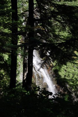_MG_3886.JPG