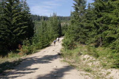 _MG_3721.JPG
