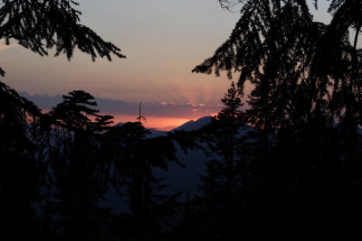 _MG_3796.JPG