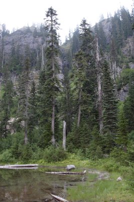 _MG_3857.JPG