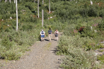_MG_4945.JPG