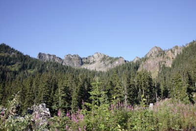 _MG_4946.JPG