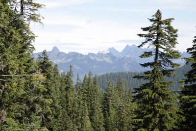 _MG_5039.JPG