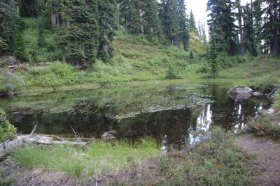 _MG_4158.JPG