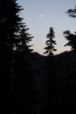 _MG_4440.JPG