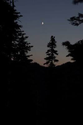_MG_4441.JPG