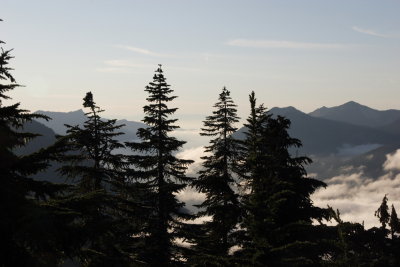 _MG_4388.JPG