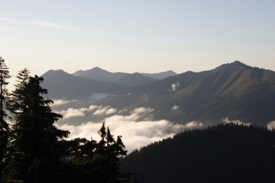 _MG_4396.JPG
