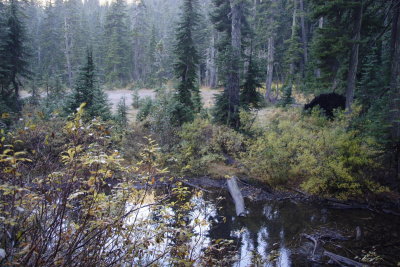 _MG_4643.JPG