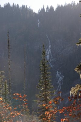 _MG_4846.JPG