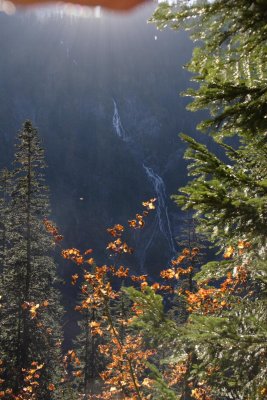 _MG_4872.JPG