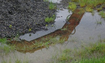 Reflection on a dull day.