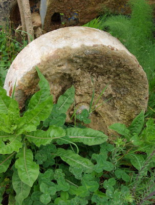 Wheel