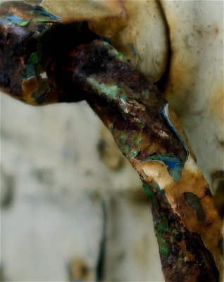 Paint