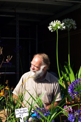 Agapanthus grower.