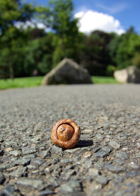 On the pavement.