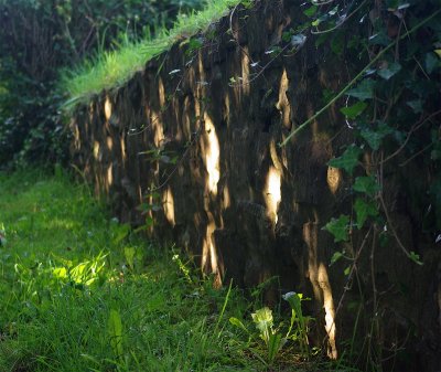 Wall