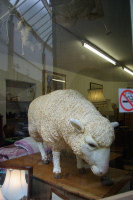 Sheep may safely graze