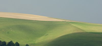 Salisbury Plain - close to Mere.