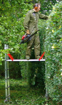 Hedgecutting