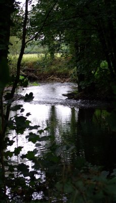 River Taw