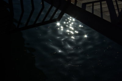 Just want to dive in!!!