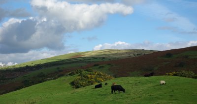 View of Dartmoor from Meldon